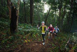 BIB: 
                            <button type="button" onclick="openModal(22432169)" class="btn btn-primary btn-sm float-right btn-popup" data-toggle="modal" data-target=".modal-high-quality">
                        <i class="fas fa-shopping-cart"></i> Add to Cart
                    </button>
                                            <button type="button" onclick="isThisMe(22432169, true)" class="btn btn-success btn-sm float-right btn-popup btn-isme hidden" data-toggle="tooltip" data-placement="bottom" title="นี่คือรูปของคุณใช่ไหม คลิกที่นี่เพื่อเอาเข้าอัลบั้ม">
                        <i class="fas fa-plus"></i> Add to album
                    </button>
                    <button type="button" onclick="isThisMe(22432169, false)" class="btn btn-warning btn-sm float-right btn-popup btn-isnotme hidden">
                        <i class="fas fa-ban"></i> Remove from album
                    </button>